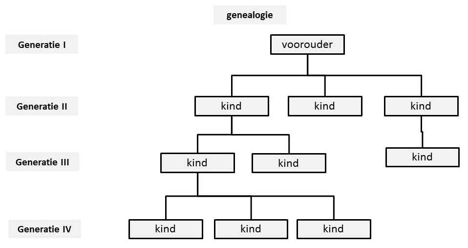 genealogie-w